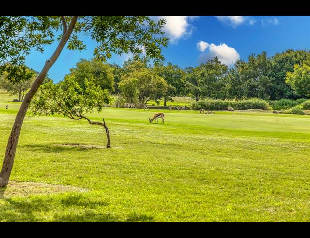 2,825M² VACANT LAND FOR SALE IN BLAIR ATHOLL GOLF ESTATE